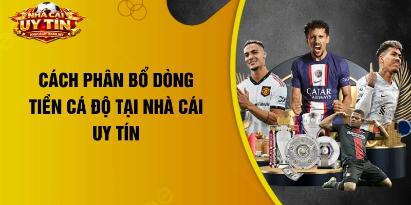 Cách phân bổ dòng tiền cá độ tại nhà cái uy tín
