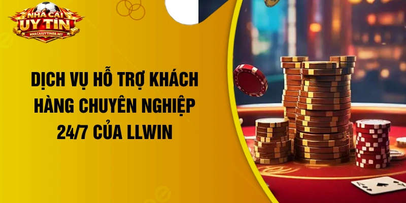 Dịch vụ hỗ trợ khách hàng chuyên nghiệp 24/7 của LLWIN