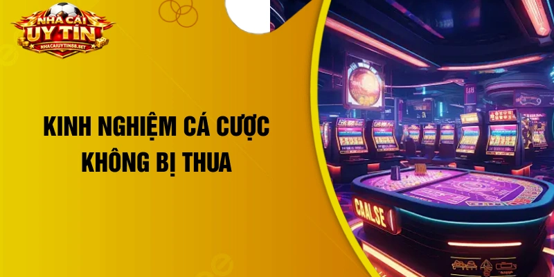 Kinh nghiệm cá cược không bị thua