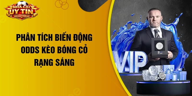 Phân tích biến động odds kèo bóng cỏ rạng sáng
